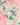 Tropical Party Theme