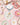 Cute Pastels & Dainty Florals