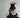 Haunted Bat Halloween Headband