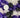 Halloween Ceiling Balloons
