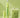 Iced Matcha Latte Depuffing Eye Cream Pen