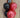 Toronto Raptors Balloon Bouquet