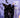 Kid's Black Cape