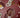 Bordeaux - Maroon Small Paper Plates