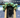 Corporate Balloon Garland - Corporate Balloons