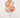 Balloon Bouquets - Champagne & Rose Gold Balloons